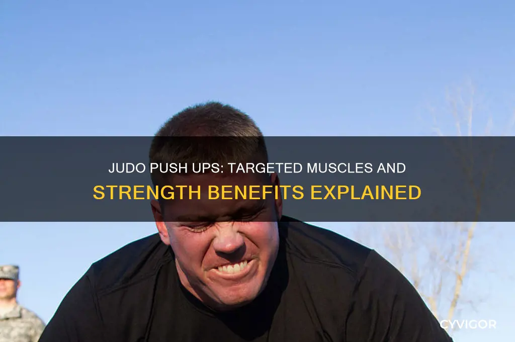 what muscles do judo push ups work