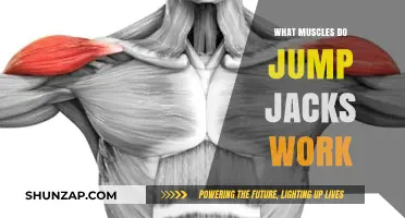 Jumping Jacks: Target Muscles and Full-Body Benefits Explained