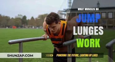 Jump Lunges: Target Muscles and Benefits for Lower Body Strength