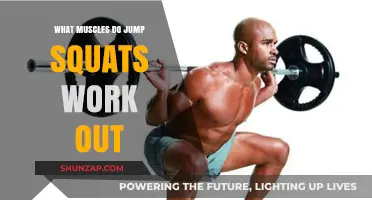 Jump Squats: Target Muscles and Full-Body Benefits Explained