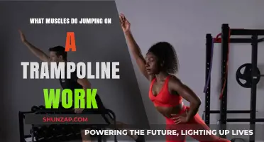 Trampoline Jumping: Target Muscles and Full-Body Benefits Explained