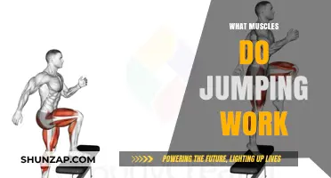 Jumping Workout: Muscles Engaged and Strengthened in Every Leap