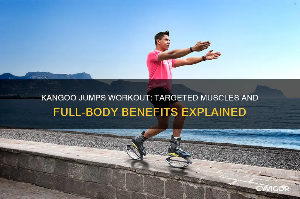 what muscles do kangoo jumps work