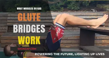 Kas Glute Bridges: Targeted Muscles for Stronger, Toned Lower Body