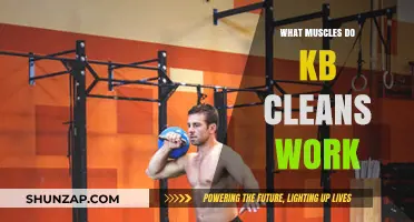 KB Cleans: Targeted Muscles and Full-Body Benefits Explained