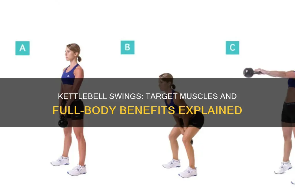what muscles do kb swings work