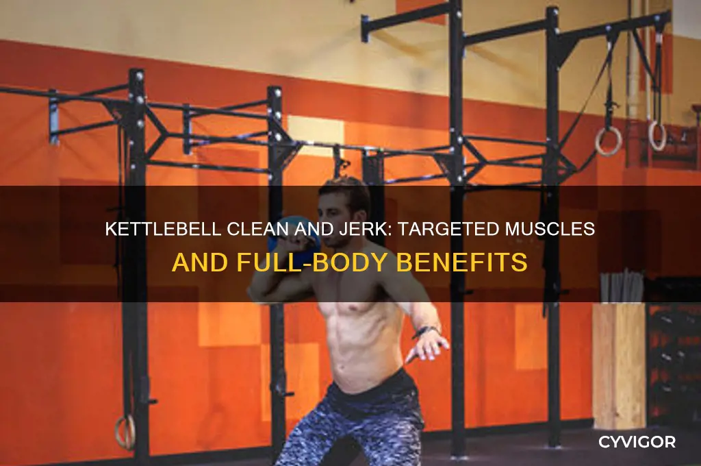 what muscles do kettlebell clean and jerk work