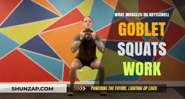 Kettlebell Goblet Squats: Targeted Muscles and Full-Body Benefits Explained
