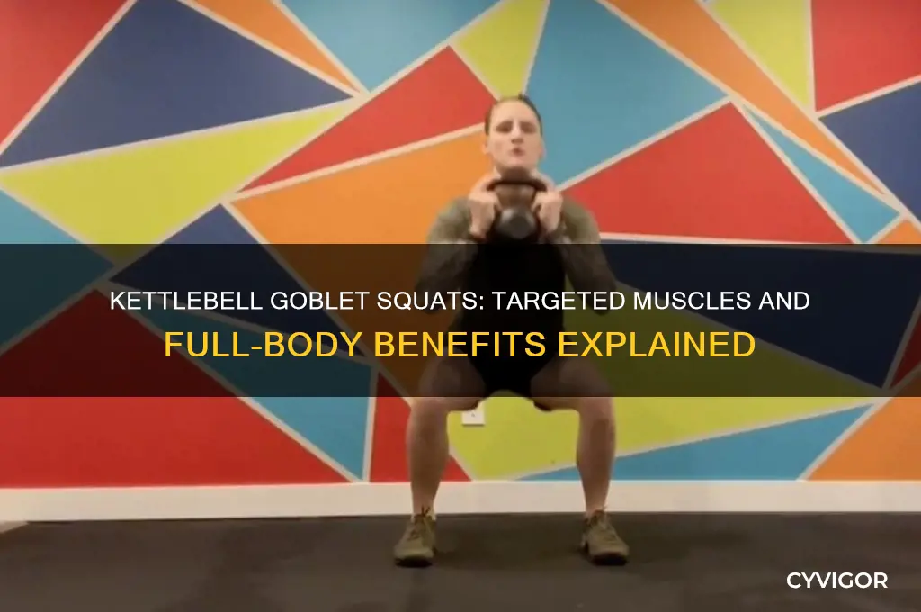 what muscles do kettlebell goblet squats work