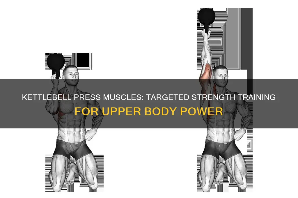 what muscles do kettlebell press work
