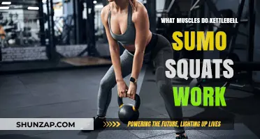 Kettlebell Sumo Squats: Target Muscles and Benefits Explained