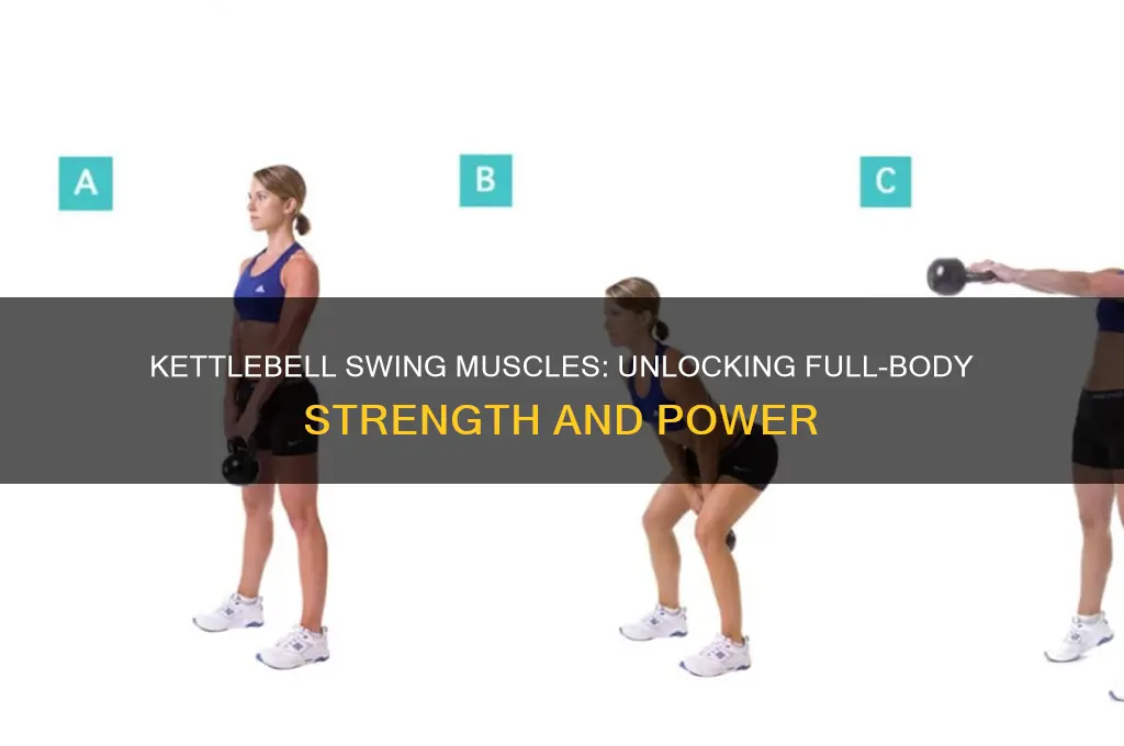 what muscles do kettlebell swing work