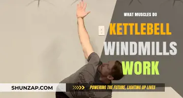 Kettlebell Windmills: Targeted Muscles and Full-Body Benefits Explained