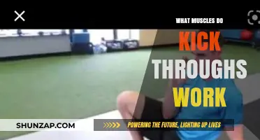 Kick Throughs: Targeted Muscles and Benefits for Core Strength