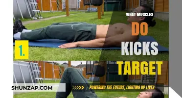 Kickboxing Workout: Targeting Muscles with Kicks
