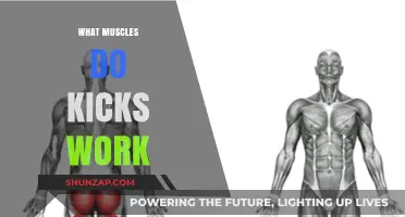 Kicks Unveiled: Target Muscles and Benefits for Strength and Flexibility
