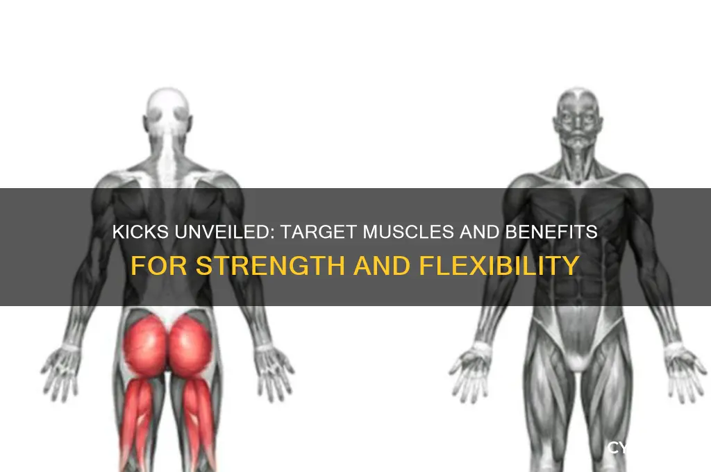 what muscles do kicks work