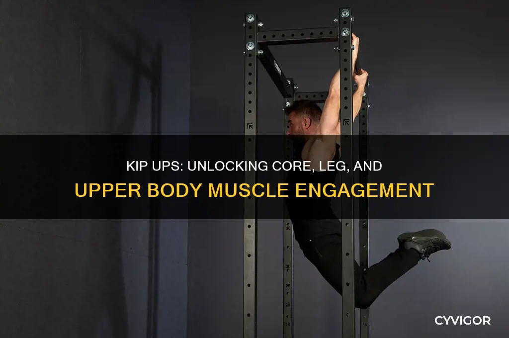 what muscles do kip ups work