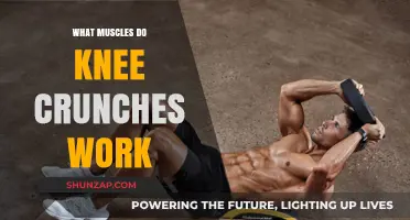 Knee Crunches: Target Muscles and Benefits for Stronger Legs