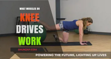 Knee Drives: Targeted Muscles and Benefits for Lower Body Strength