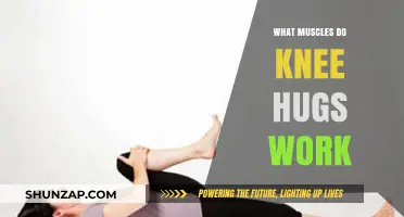 Knee Hugs: Targeted Muscles and Benefits for Flexibility and Strength