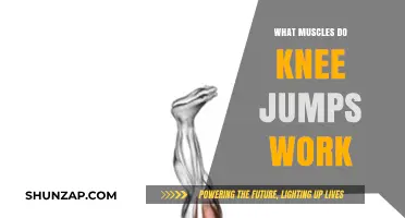 Knee Jumps: Targeted Muscles and Benefits for Lower Body Strength