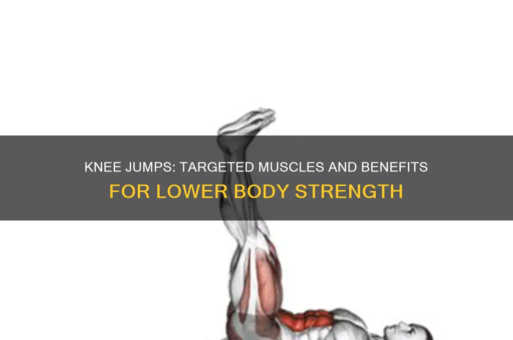 what muscles do knee jumps work