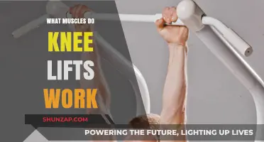 Knee Lifts: Targeted Muscles and Benefits for Lower Body Strength