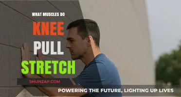 Knee Pull Stretch: Targeted Muscles and Flexibility Benefits Explained