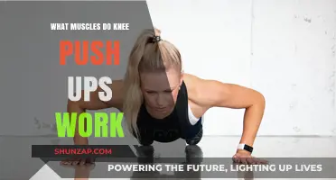 Knee Push Ups: Targeted Muscles and Strength Benefits Explained