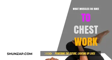 Knee to Chest Exercise: Target Muscles and Benefits Explained