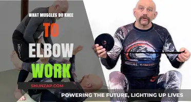 Knee to Elbow: Targeted Muscles and Benefits Explained