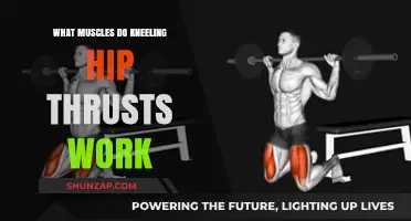 Kneeling Hip Thrusts: Targeted Muscles and Benefits Explained