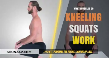 Kneeling Squats: Targeted Muscles and Benefits for Lower Body Strength