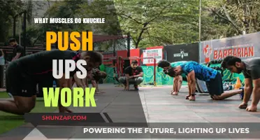 Knuckle Push Ups: Targeted Muscles and Strength Benefits Explained