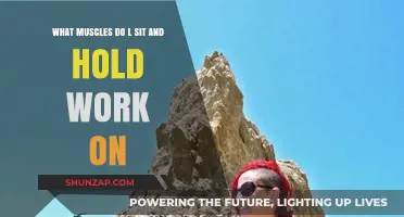 L-Sit and Hold: Targeted Muscles for Core and Upper Body Strength