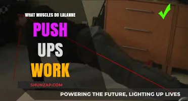 Lalanne Push Ups: Targeted Muscles and Benefits Explained