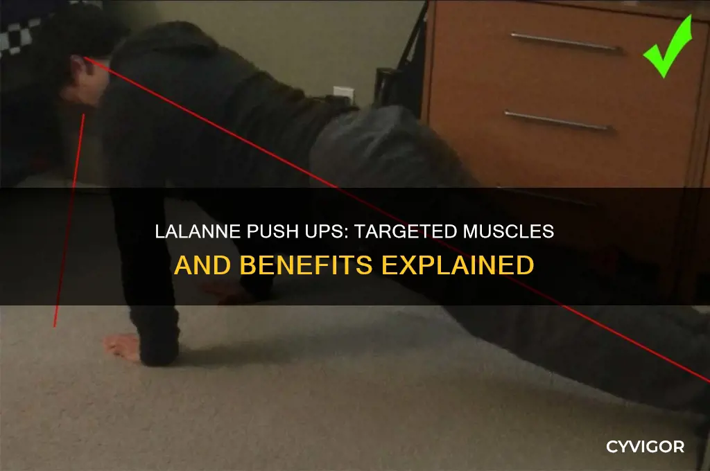 what muscles do lalanne push ups work