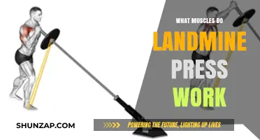 Landmine Press: Target Muscles and Benefits Explained