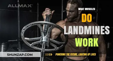 Landmine Exercises: Target Muscles and Benefits for Strength Training