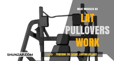 Lat Pullovers: Targeted Muscles and Benefits for Strength Training