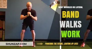 Lateral Band Walks: Targeted Muscles and Benefits Explained