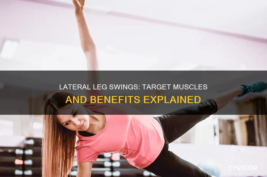 what muscles do lateral leg swings work