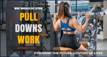 Lateral Pull Downs: Targeted Muscles and Strength Benefits Explained