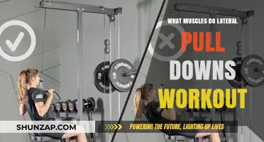Lateral Pull Downs: Targeted Muscles and Strength Benefits Explained