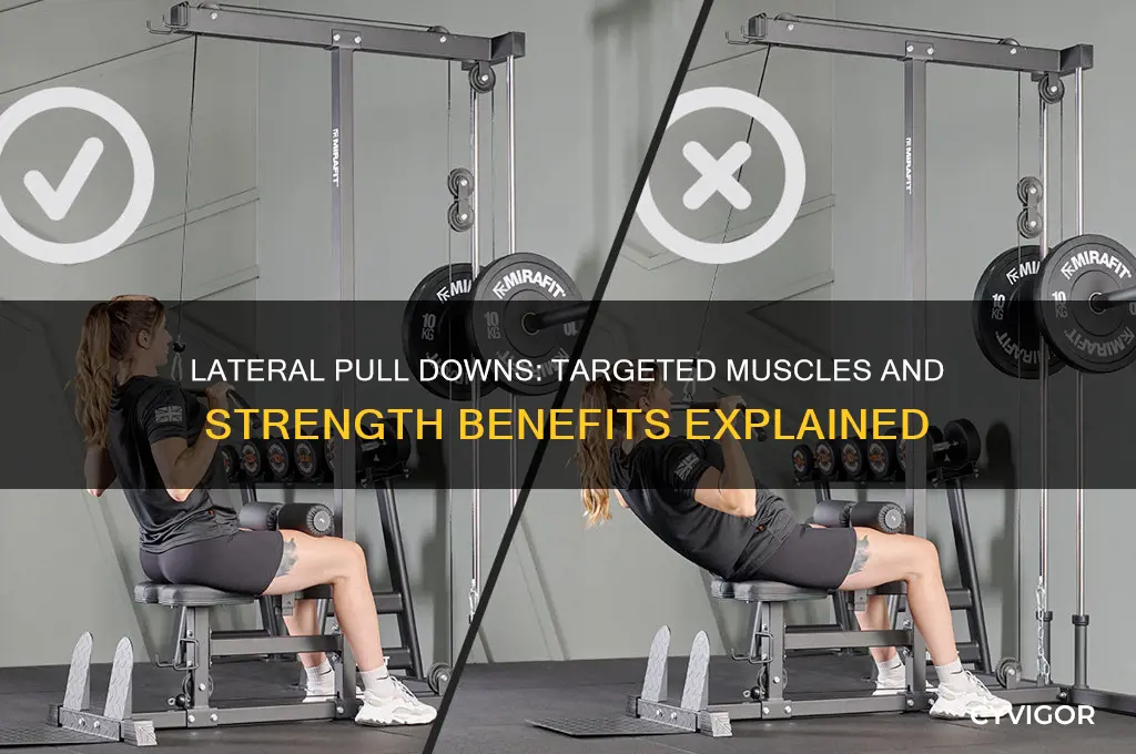 what muscles do lateral pull downs workout