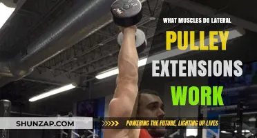 Lateral Pulley Extensions: Targeted Muscles and Workout Benefits Explained