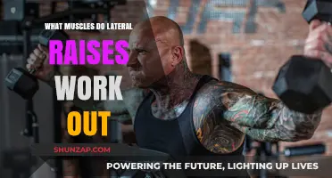 Lateral Raises: Targeted Muscles and Benefits for Shoulder Strength