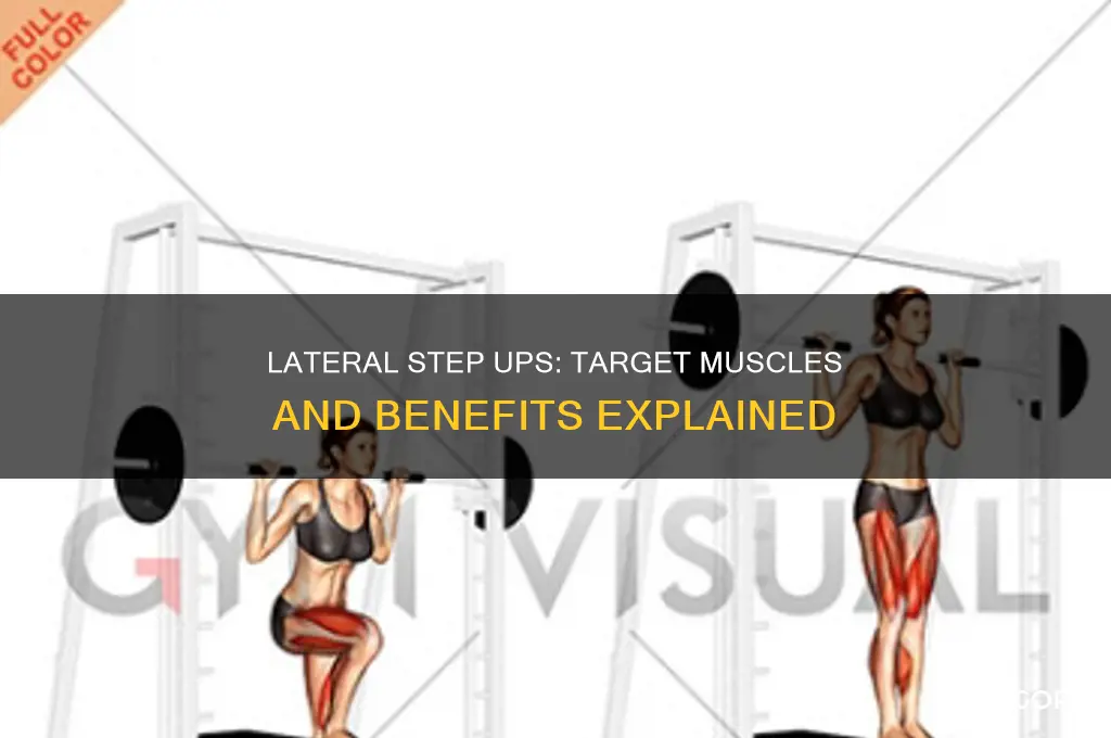 what muscles do lateral step ups work