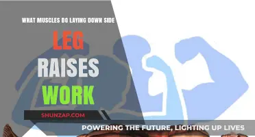Laying Down Side Leg Raises: Targeted Muscles and Benefits Explained